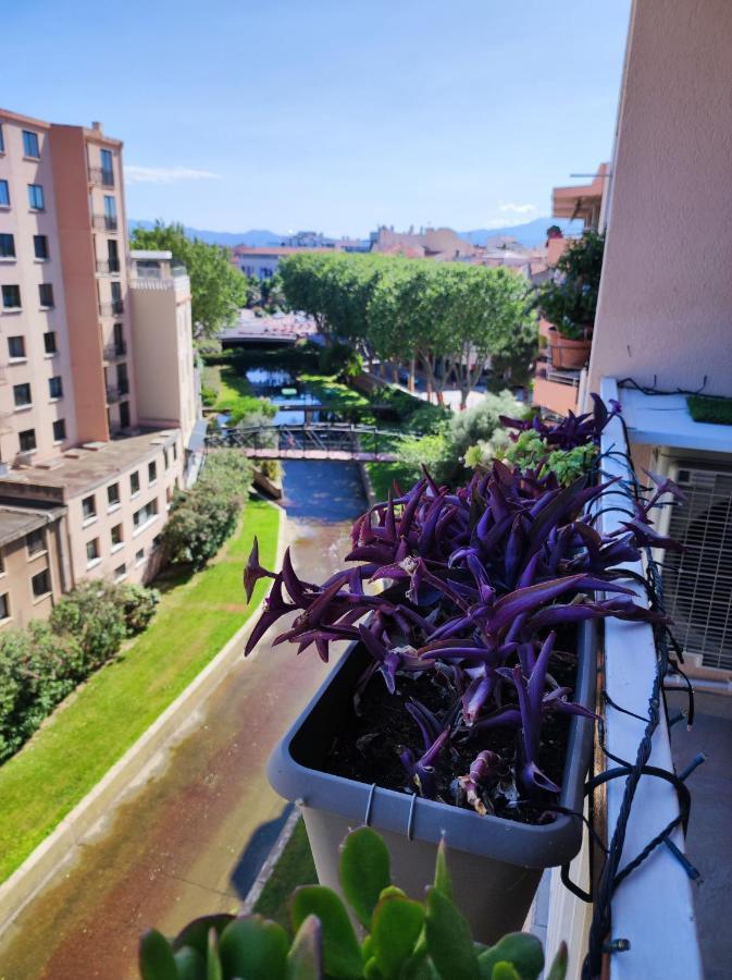 Le Balcon De La Basse Centre Ville De แปร์ปินญอง ภายนอก รูปภาพ